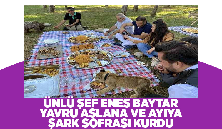 Yavru aslan ve ayıya şark sofrası kuruldu