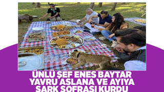 Yavru aslan ve ayıya şark sofrası kuruldu