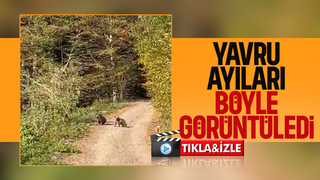 Yavru ayıları oynarken görüntüledi