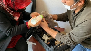 Yavru ayıyı donmak üzereyken buldular