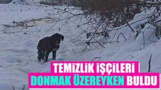 Yavru köpek donmaktan kurtarıldı