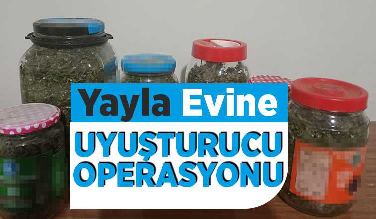 Yayla evinde esrar ve metamfetam ile yakalandılar