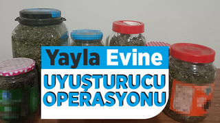 Yayla evinde esrar ve metamfetam ile yakalandılar