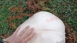 Yaylada dev mantar buldu