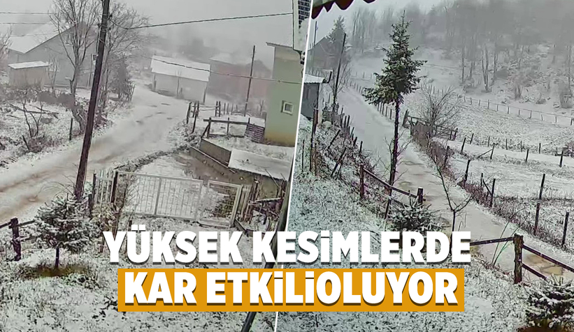 Yaylalar beyaza büründü