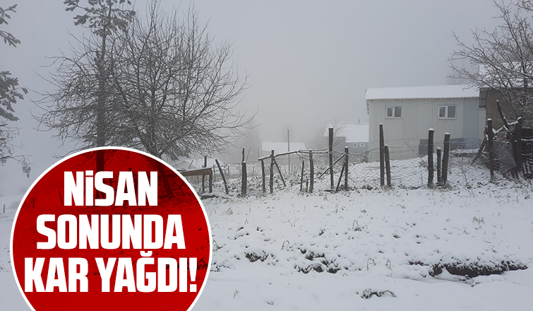 Yaylalar kar yağışı ile beyaza büründü