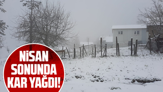 Yaylalar kar yağışı ile beyaza büründü