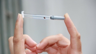 Yaz aylarının kâbusu oldular! Ölü sayısı 10’a yükseldi