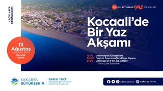 Yaz etkinliklerinde adres Kocaali