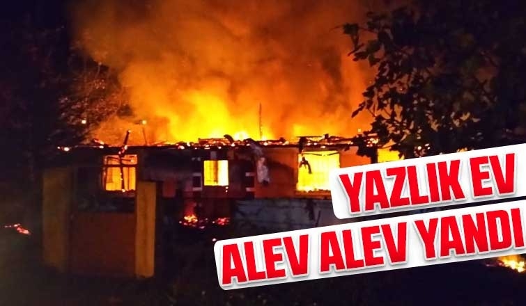 Yazlık ev alev alev yandı