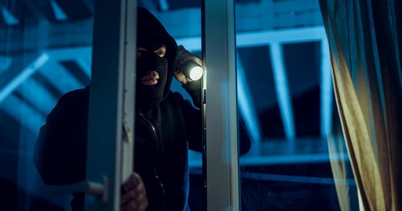 Yazlık fareleri yakalandı