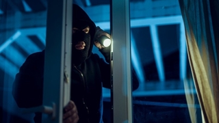 Yazlık fareleri yakalandı