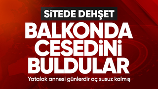 Yazlık sitede başından vurulmuş halde ölü bulundu