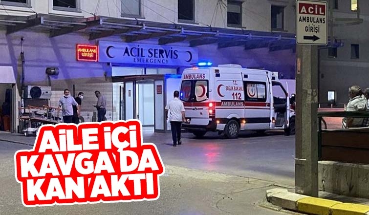 Yeğenini bıçakladı