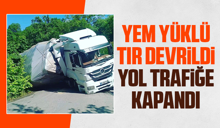 Yem yüklü tır devrildi
