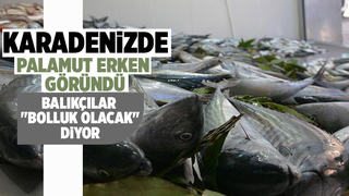 Yeni av sezonu öncesi ortaya çıkan palamut sevindirdi