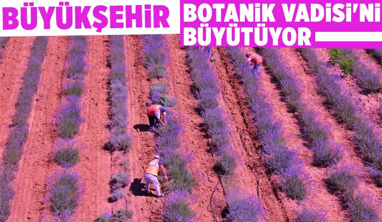 Yeni Botanik Vadisi için ihaleye çıkıldı