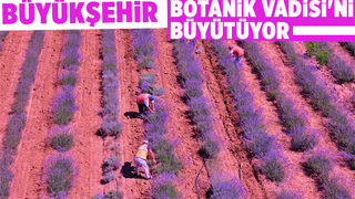 Yeni Botanik Vadisi için ihaleye çıkıldı