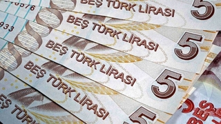 Yeni dönem: 20 TL ve 5 TL'lik banknotlarda değişiklik