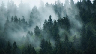 Yeni haftada hava durumu nasıl olacak?