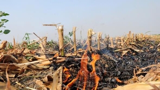 Yeni yılda çevreyi kirletenlerin cebi yanacak