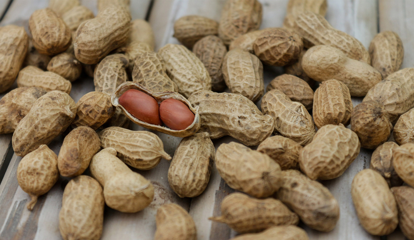 Yer fıstığının fiyatı 5 katına çıktı