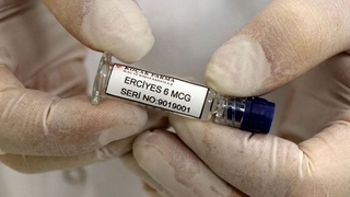 Yerli aşının Faz-2 sürecinde tüm deneklerde antikor oluştu