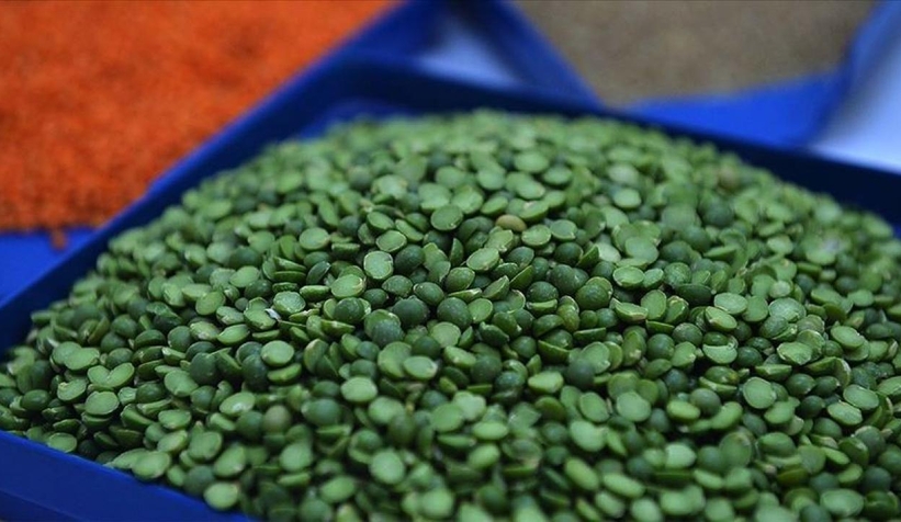 Yeşil mercimekte gümrük vergisi sıfırlandı