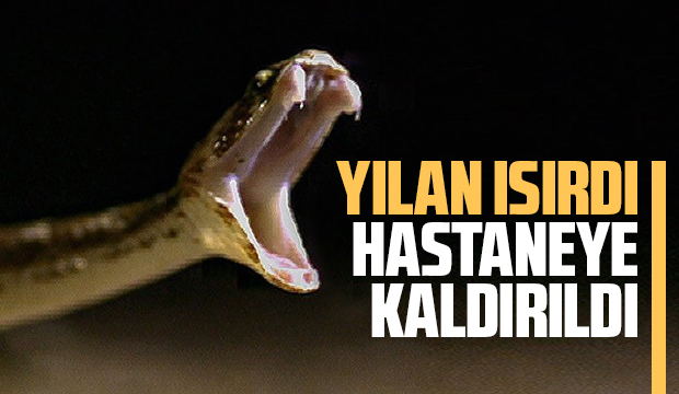Yılan ısırdı