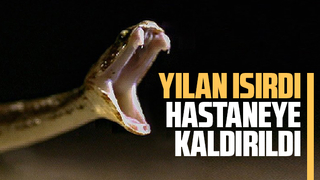 Yılan ısırdı