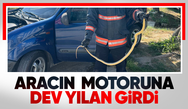 Yılanı itfaiye çıkardı