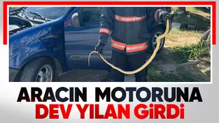 Yılanı itfaiye çıkardı