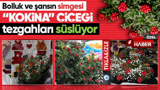Yılbaşının simgelerinden 