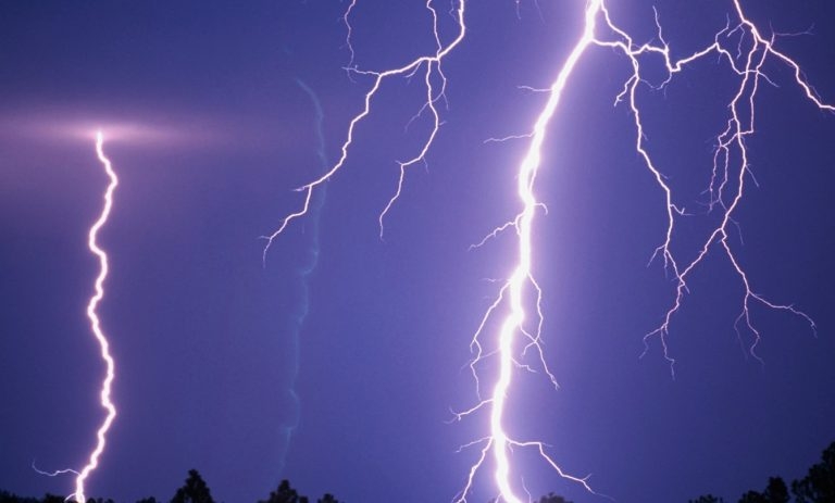 Yıldırım düştü, 8 koyun telef oldu