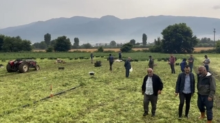 Yıldırım düştü; Maydanoz toplayan işçi öldü