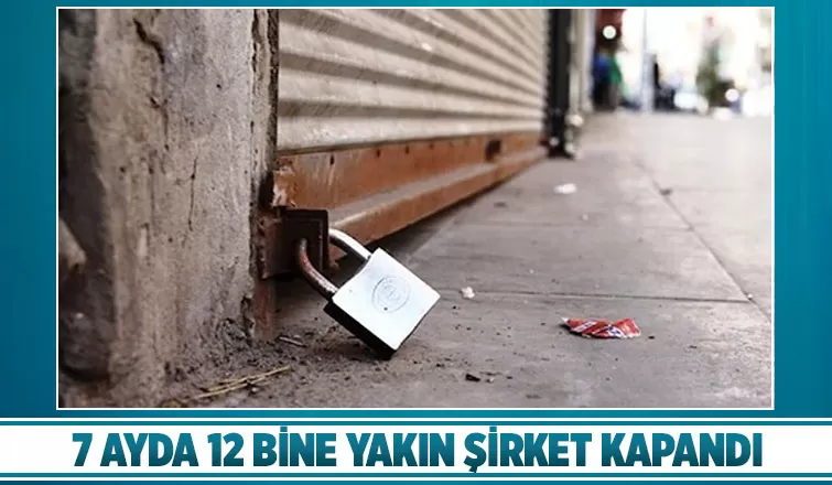 Yılın ilk 7 ayında 11 bin 919 şirket kapandı