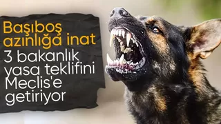 Yılmaz Tunç'tan sokak köpeği açıklaması: İnsanımızın can emniyeti başta gelen görevimiz