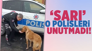 Yiyecek verdiği polisleri unutmadı