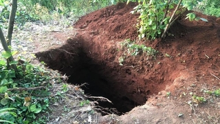 Yok artık; Afganlılar define ararken yakalandı