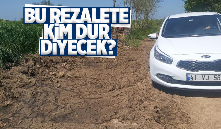 Yol kenarına dökülen gübreler vatandaşı isyan ettirdi