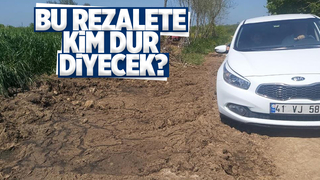 Yol kenarına dökülen gübreler vatandaşı isyan ettirdi