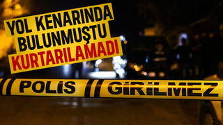 Yol kenarında bulundu, kurtarılamadı