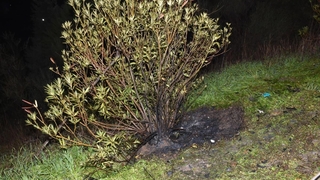 Yol kenarında yanan valizden ceset çıktı