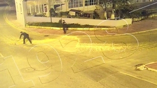 Yola saçılan mısırları bekçiler temizledi