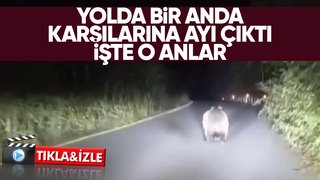 Yolda önlerine ayı çıktı