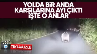Yolda önlerine ayı çıktı