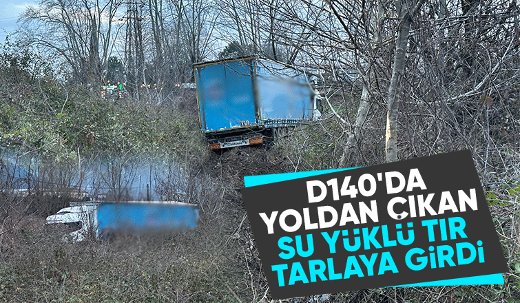 Yoldan Çıkan Tır Tarlaya Girdi