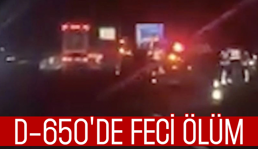 Yolun karşısına geçmek isterken canından oldu