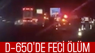 Yolun karşısına geçmek isterken canından oldu