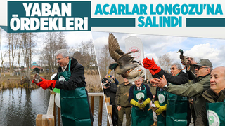 Yüce Acarlar Longozu’ndan dünyaya mesaj verdi